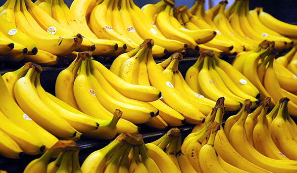 菲律宾香蕉检出病菌