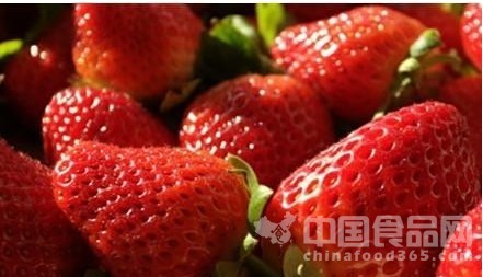 中国草莓毒翻了1万名德国小学生？